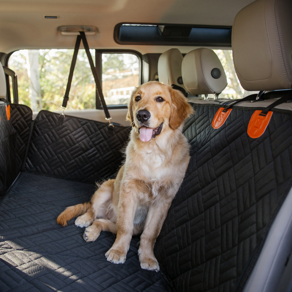TailyPet™ - Dog Seat Cover
