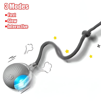 ChaseBall™ – Motion-Activated Cat Toy