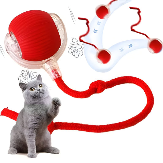 ChaseBall™ – Motion-Activated Cat Toy