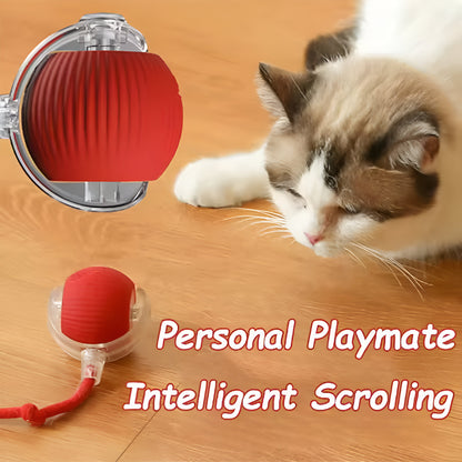 ChaseBall™ – Motion-Activated Cat Toy