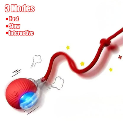 ChaseBall™ – Motion-Activated Cat Toy